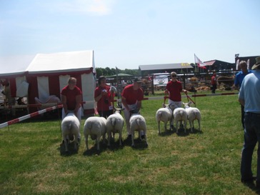 aabenraa_stemning_01